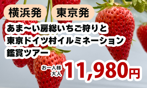 あま～い房総いちご狩りと東京ドイツ村ウィンターイルミネーション鑑賞ツアー