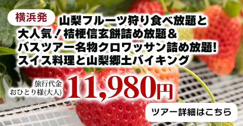 横浜発　山梨で季節のフルーツ狩り食べ放題と大人気！桔梗信玄餅詰め放題＆バスツアー名物クロワッサン詰め放題!スイス料理と山梨郷土バイキング