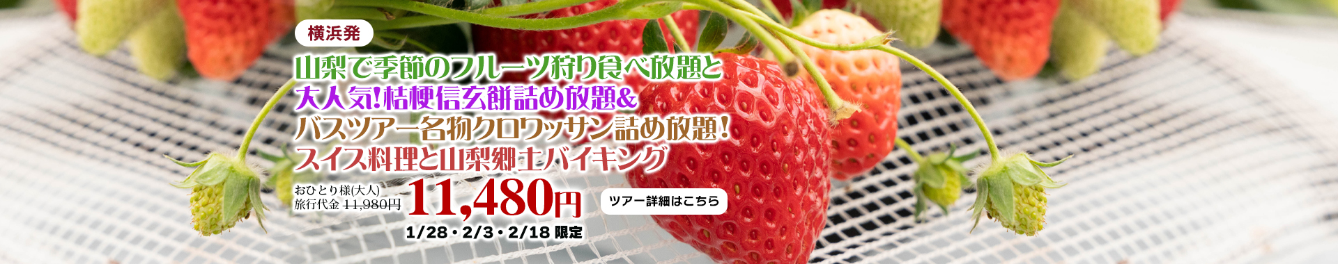 横浜発　山梨で季節のフルーツ狩り食べ放題と大人気！桔梗信玄餅詰め放題＆バスツアー名物クロワッサン詰め放題!スイス料理と山梨郷土バイキング