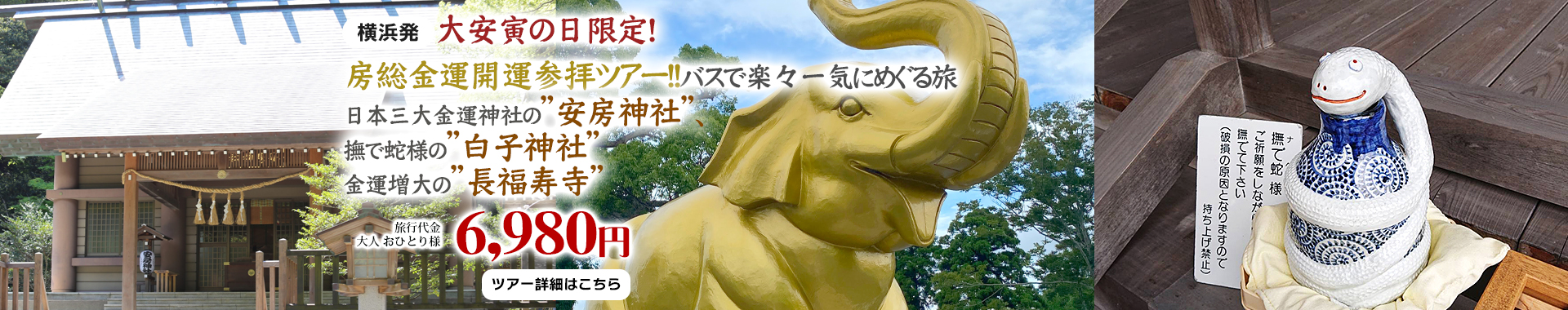 横浜発　大安寅の日限定！房総金運開運参拝ツアー！！バスで楽々一気にめぐる旅～日本三大金運神社の”安房神社”、撫で蛇様の”白子神社”、金運増大の”長福寿寺”～