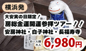 横浜発　大安・寅の日限定！房総金運開運参拝ツアー！！安房神社・白子神社・長福寿寺