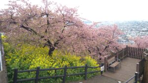 まつだ桜まつり