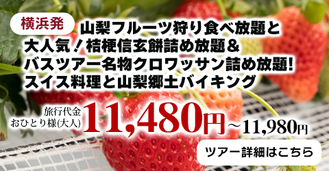 山梨で季節のフルーツ狩り食べ放題と大人気！桔梗信玄餅詰め放題＆バスツアー名物クロワッサン詰め放題!スイス料理と山梨郷土バイキング