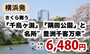 横浜発　さくら舞う「千鳥ヶ淵」「隅田公園」と名所”豊洲千客万来”