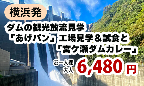 横浜発　地元の名物パン屋「オギノパン」で頂く揚げたての揚げパンと巨大なダム「宮ヶ瀬ダム」の放流見学ツアー