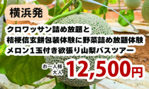 横浜発　美味しさ満載！バスツアーで行くクロワッサン詰め放題と桔梗信玄餅包装体験に野菜詰め放題体験も！！　メロン1玉付き欲張り山梨バスツアー