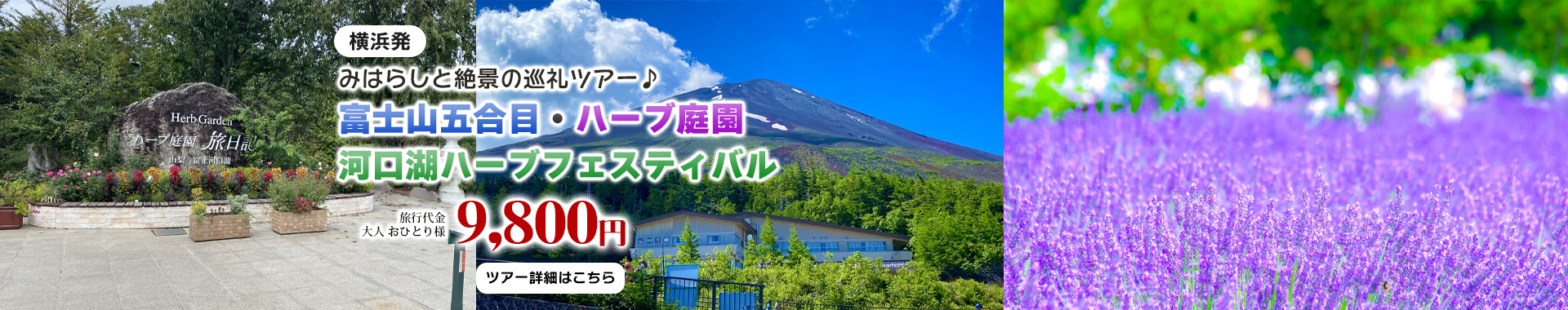 横浜発　みはらしと絶景の巡礼ツアー♪～富士山五合目・ハーブ庭園・河口湖ハーブフェスティバル～