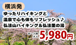 横浜発　ゆったりハイキングと温泉で心も体もリフレッシュ♪弘法山ハイキング＆弘法里の湯