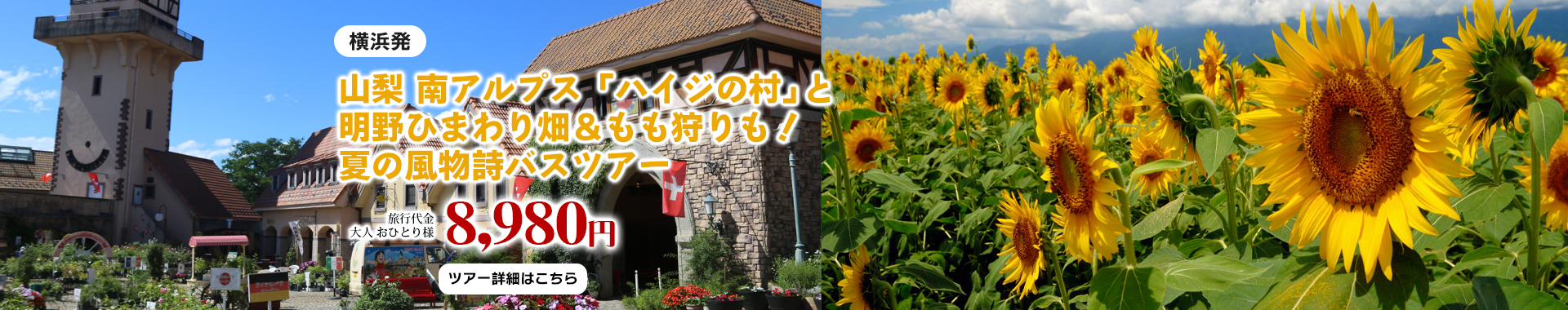 横浜発　山梨 南アルプス「ハイジの村」と明野ひまわり畑＆もも狩りも！夏の風物詩バスツアー