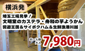 埼玉工場見学！文明堂のカステラ・舟和の芋ようかん 醤遊王国＆サイボクハム＆生鮮漁港川越