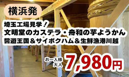 埼玉工場見学！文明堂のカステラ・舟和の芋ようかん 醤遊王国＆サイボクハム＆生鮮漁港川越
