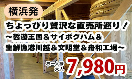ちょっぴり贅沢な直売所巡り！～醤遊王国＆サイボクハム＆生鮮漁港川越＆文明堂＆舟和工場～