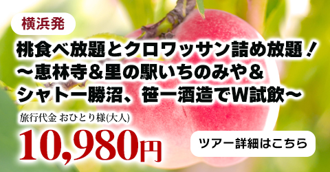 横浜発　桃食べ放題とクロワッサン詰め放題！～恵林寺&里の駅いちのみや＆シャトー勝沼、笹一酒造でW試飲～