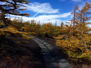 富士山お中道