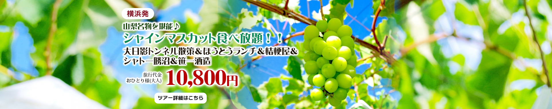 横浜発　山梨名物を堪能♪シャインマスカット食べ放題！！　～大日影トンネル散策＆ほうとうランチ＆桔梗屋＆シャトー勝沼＆笹一酒造～