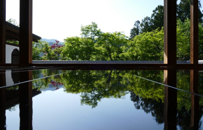 宝徳寺床もみじ