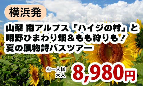 横浜発　山梨 南アルプス「ハイジの村」と明野ひまわり畑＆もも狩りも！夏の風物詩バスツアー