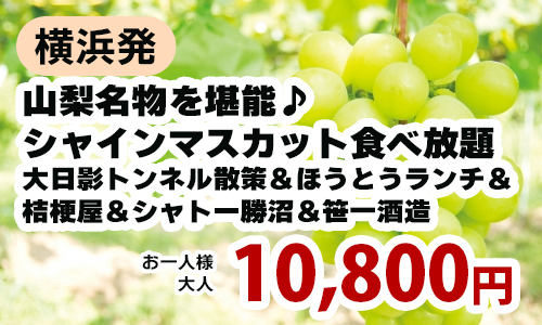 横浜発　山梨名物を堪能♪シャインマスカット食べ放題！！　～大日影トンネル散策＆ほうとうランチ＆桔梗屋＆シャトー勝沼＆笹一酒造～