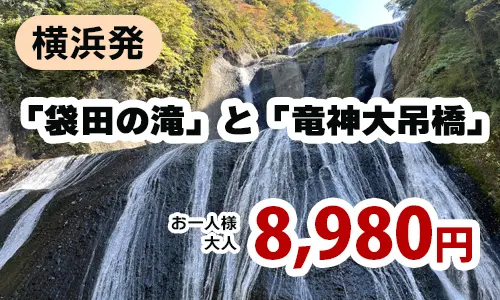横浜発　紅葉感じる日本三名瀑「袋田の滝」とスリル×自然を満喫「竜神大吊橋」 ～茨城県産食品を使ったランチプレート付き♪～