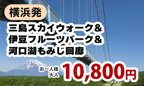 横浜発　富士山の絶景！『三島スカイウォーク』＆伊豆フルーツパーク＆河口湖もみじ回廊めぐりツアー