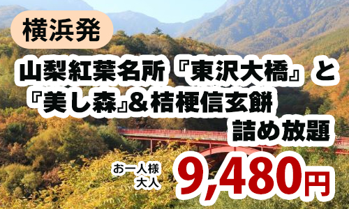 横浜発　八ヶ岳を望む 山梨紅葉名所『東沢大橋』と『美し森』＆桔梗信玄餅詰め放題～ワインビーフの入り煮込みハンバーグランチ付♪～