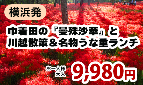 横浜発　巾着田の『曼殊沙華』の赤い絨毯と川越散策＆名物うな重ランチ付ツアー