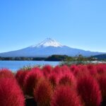 大石公園