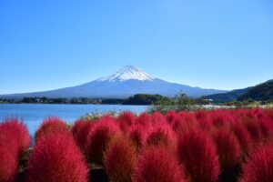 大石公園