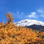 富士山お中道