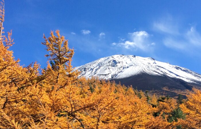 富士山お中道