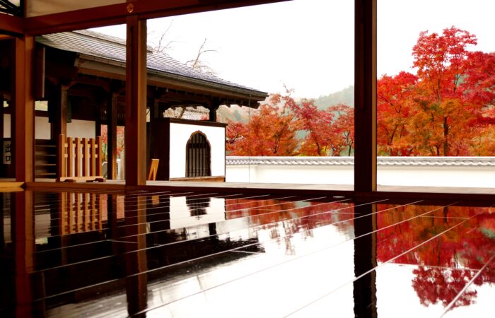 宝徳寺床もみじ