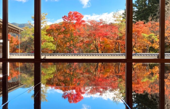 宝徳寺床もみじ