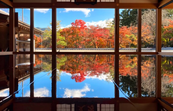 宝徳寺床もみじ