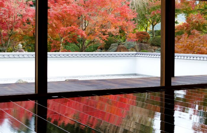 宝徳寺床もみじ