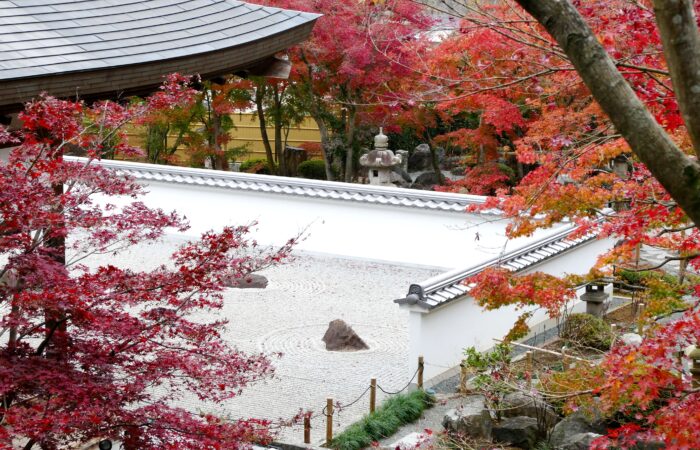 宝徳寺床もみじ