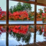 宝徳寺床もみじ