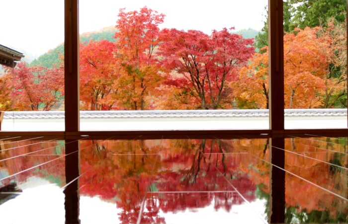 宝徳寺床もみじ