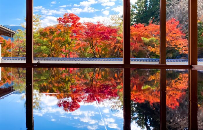 宝徳寺床もみじ