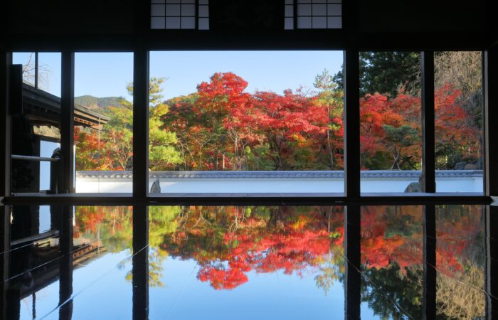宝徳寺床もみじ