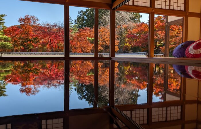 宝徳寺床もみじ