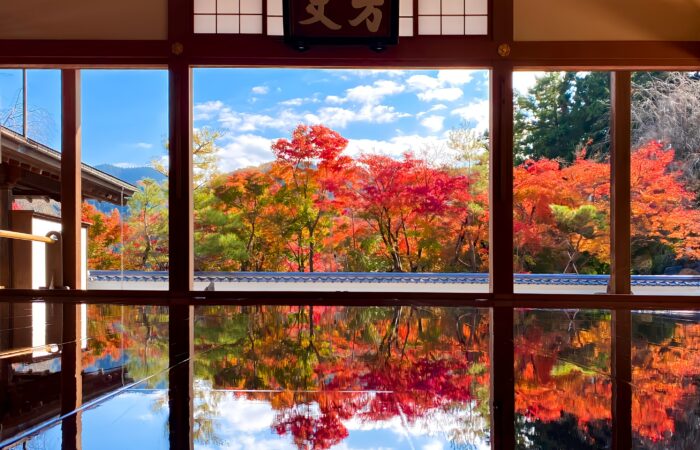 宝徳寺床もみじ