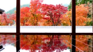 宝徳寺床もみじ