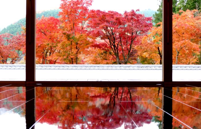 宝徳寺床もみじ