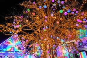 東京ドイツ村