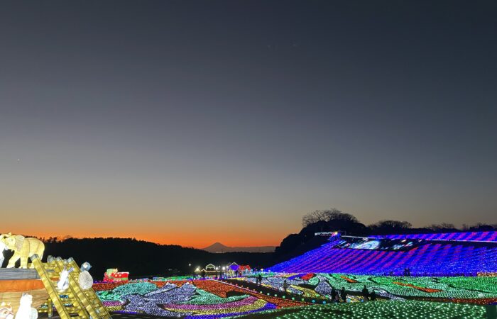 東京ドイツ村