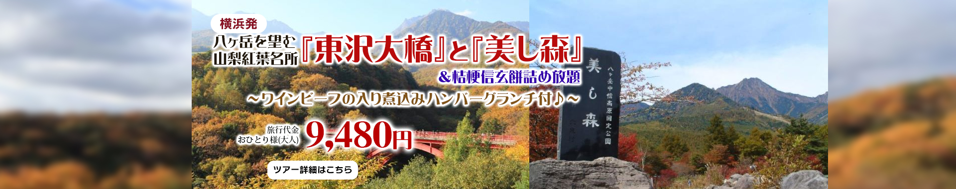 横浜発　八ヶ岳を望む 山梨紅葉名所『東沢大橋』と『美し森』＆桔梗信玄餅詰め放題～ワインビーフの入り煮込みハンバーグランチ付♪～