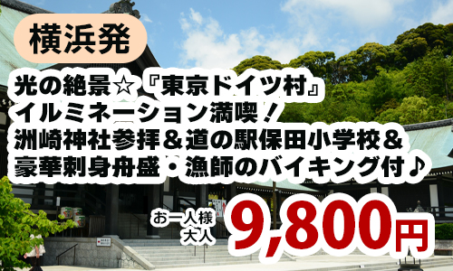 横浜発　光の絶景☆『東京ドイツ村』イルミネーション満喫！～洲崎神社参拝＆道の駅保田小学校＆豪華刺身舟盛・漁師のバイキング付♪～