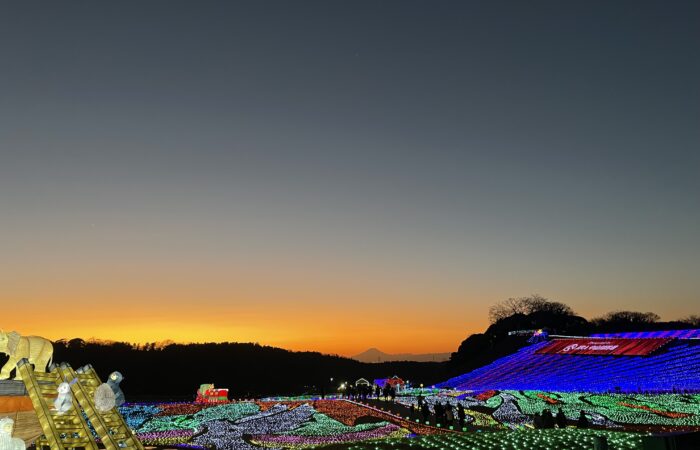 東京ドイツ村