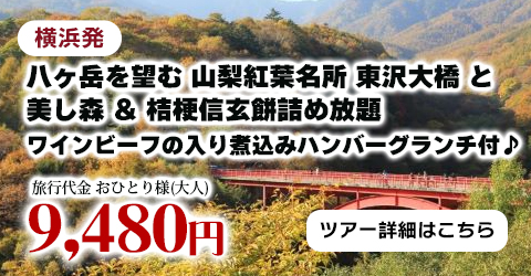 横浜発　八ヶ岳を望む 山梨紅葉名所『東沢大橋』と『美し森』＆桔梗信玄餅詰め放題～ワインビーフの入り煮込みハンバーグランチ付♪～