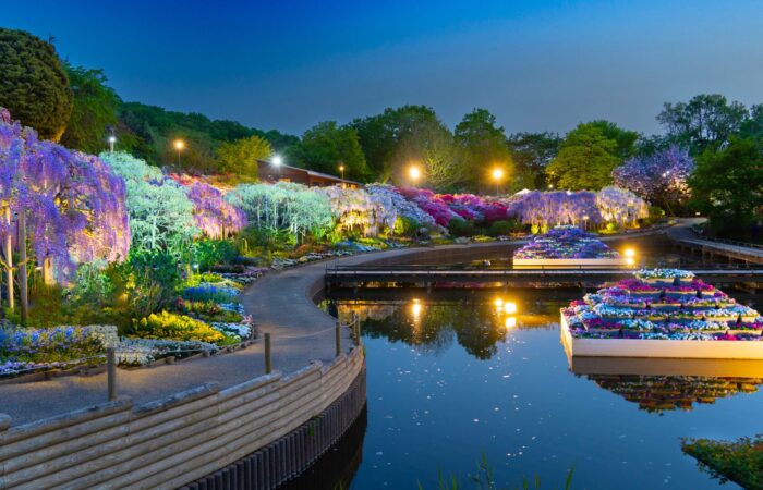 あしかがフラワーパーク